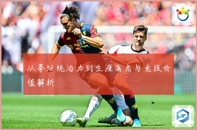 从拳坛统治力到生涯高光与竞技价值解析