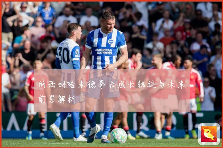 纳西姆哈米德拳击成长轨迹与未来前景解析